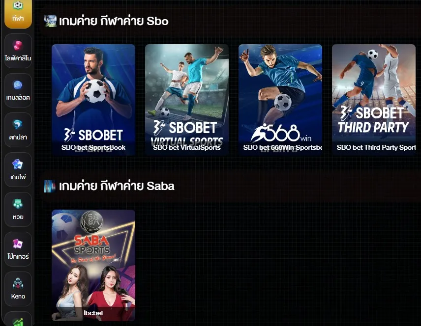 หมวดหมู่กีฬาในระบบแพลตฟอร์ม